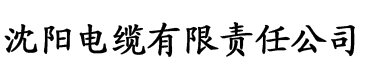 久久久久无码精品国产蜜桃电缆厂logo